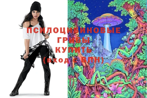 дмт Нефтекумск