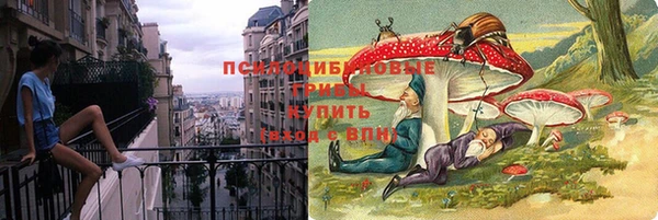 дмт Нефтекумск