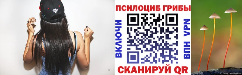 Купить где  Ессентукская  Псилоцибиновые грибы Psilocybine cubensis 